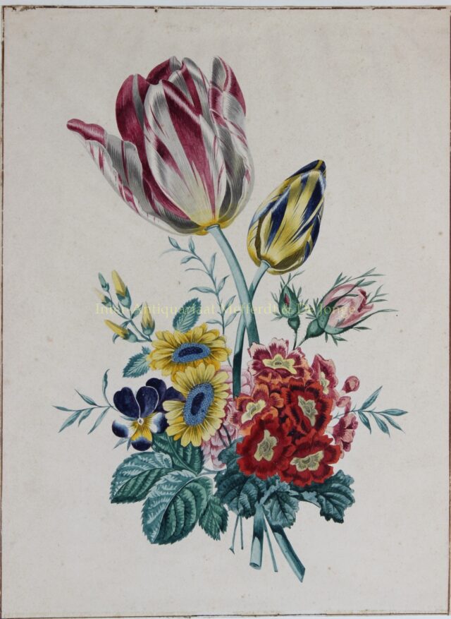 Bloemstilleven Tulpen 19e Eeuw Originele Antieke Aquarel