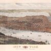 view of 19th century New York