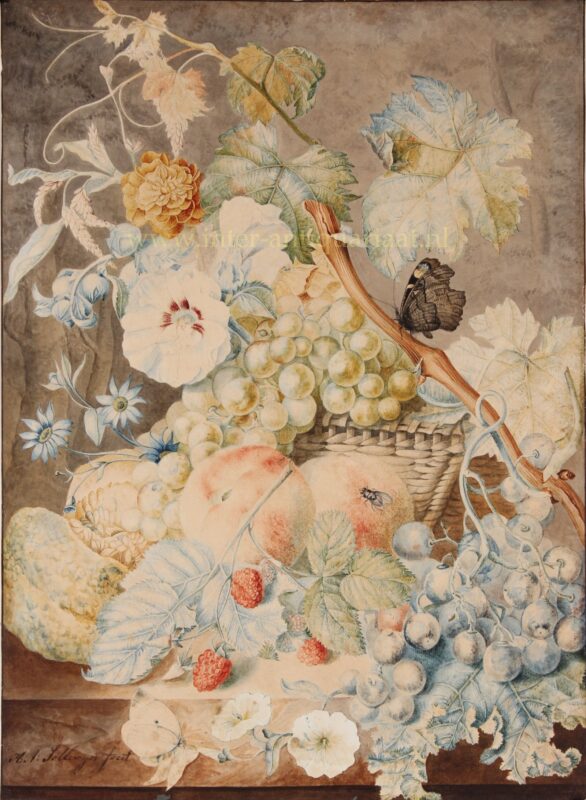 Fruit still life – Hendrina Sollewijn, 1783-1863