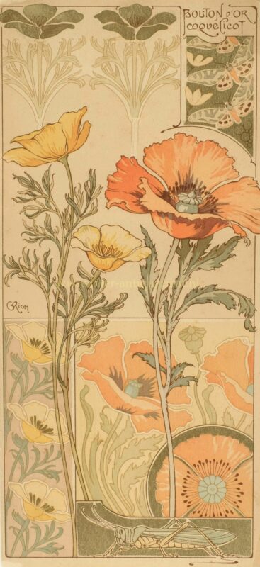 Buttercups and poppies – Georges Riom, ca. 1900