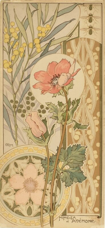 Mimosa and anemone – Georges Riom, ca. 1900