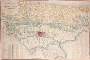 19e-eeuwse kaart van de omgeving van Haarlem (Hillegom, Bennebroek, Heemstede, Bloemendaal, Santpoort)