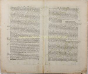 Alternative view of Holland - Willem Blaeu, 1631