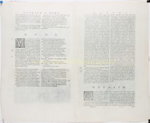 Alternative view of Naarden, Weesp, Muiden, Muiderslot - Joan Blaeu, 1649