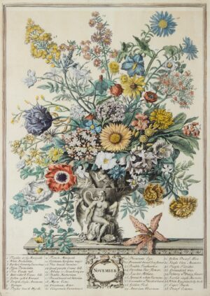 Twelve Months - after Pieter Casteels, ca. 1760-1770 - Image 12