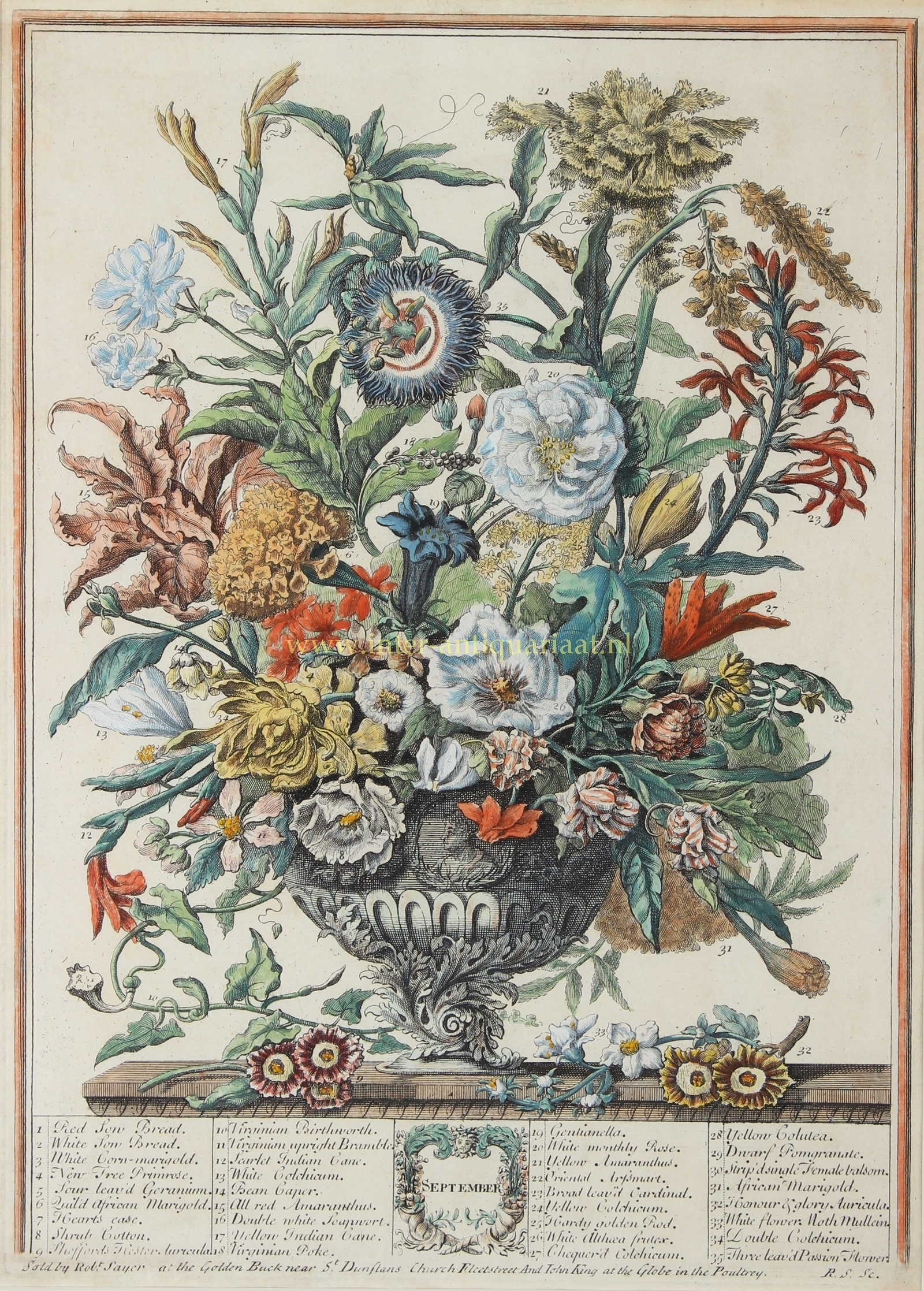 Twelve Months - after Pieter Casteels, ca. 1760-1770 - Image 10