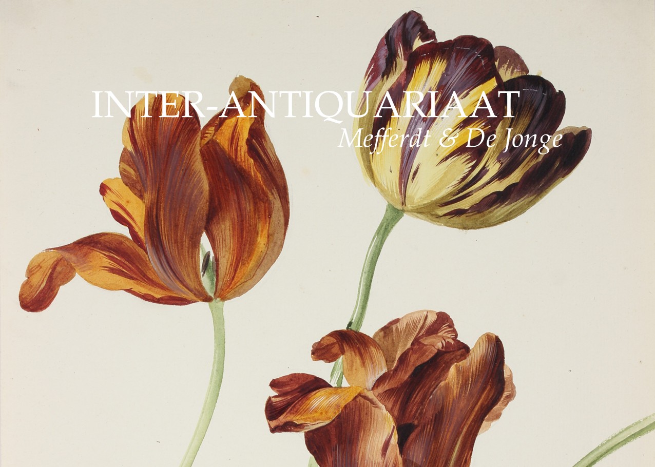 catalogue Tulip Fever old antique prints drawing tulips