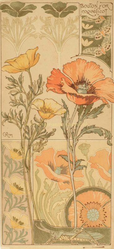 Boterbloem en klaproos – Georges Riom, ca. 1900