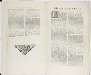 Alternative view of Brazilië, Hollandse verovering van Pernambuco - Wenceslaus Hollar + Johannes Janssonius, 1657