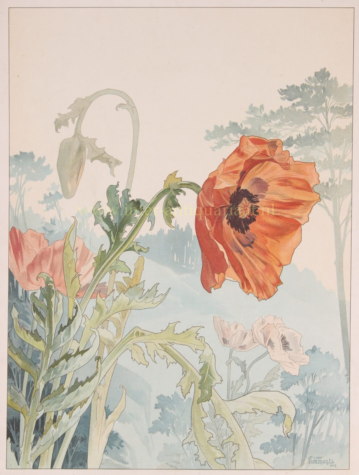 Rozen - Henri Privat-Livemont, ca. 1900 - Afbeelding 6