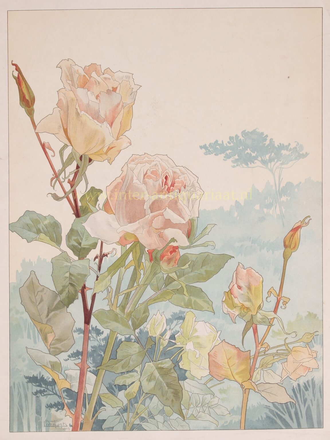 Rozen - Henri Privat-Livemont, ca. 1900 - Afbeelding 8