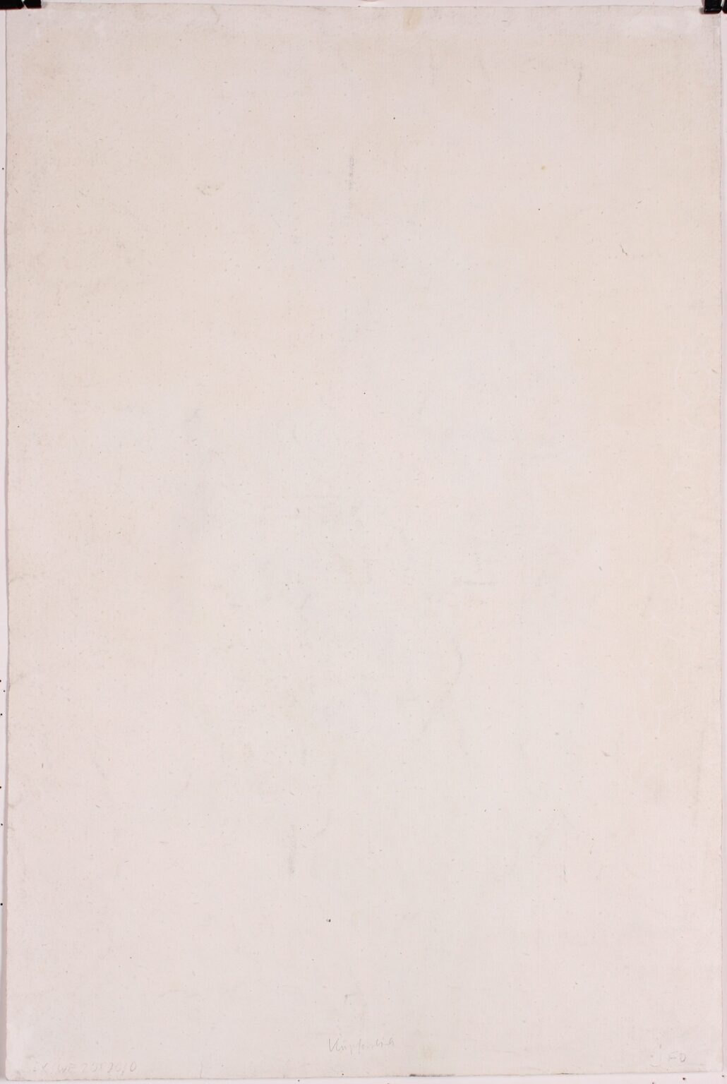 Hyacint - Gerard van Spaendonck, 1799-1801 - Afbeelding 2