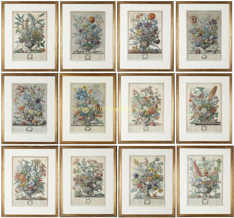 Complete serie van twaalf antieke handgekleurde bloemenprenten uit de 18e eeuw, naar Pieter Casteels III.