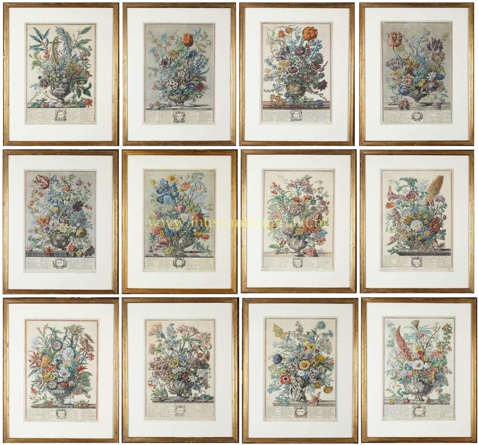 Complete serie van twaalf antieke handgekleurde bloemenprenten uit de 18e eeuw, naar Pieter Casteels III.